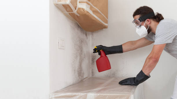 Professional Mold Removal technician working in Vincentown, NJ