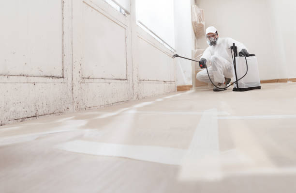 24/7 Emergency Mold Removal experts in Vincentown, NJ